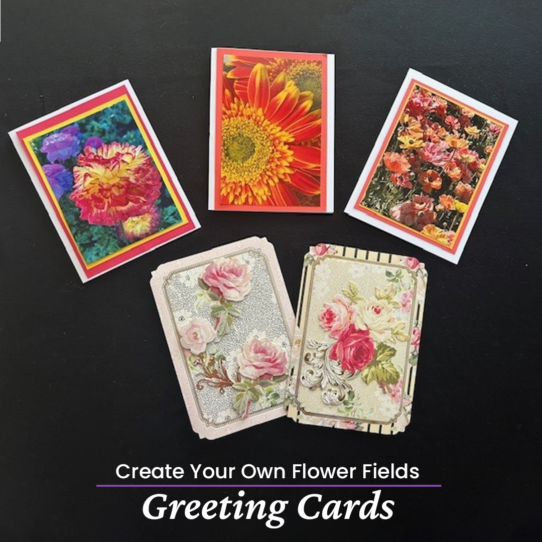 Flower fields greeting cards